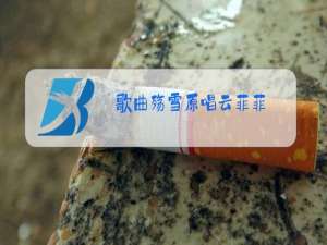 歌曲殇雪原唱云菲菲