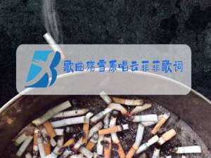 歌曲殇雪原唱云菲菲歌词