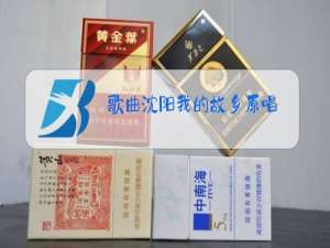 歌曲沈阳我的故乡原唱