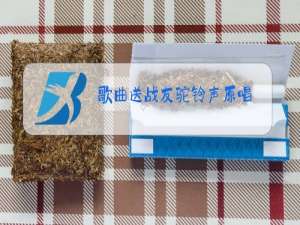 歌曲送战友驼铃声原唱