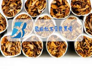 歌曲他不爱我原唱