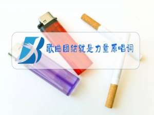 歌曲团结就是力量原唱词