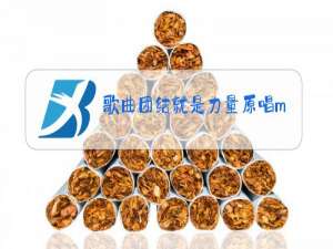 歌曲团结就是力量原唱mp3