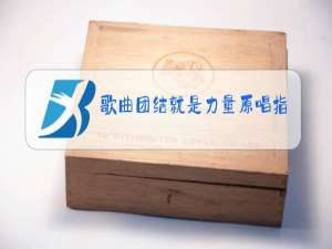 歌曲团结就是力量原唱指挥