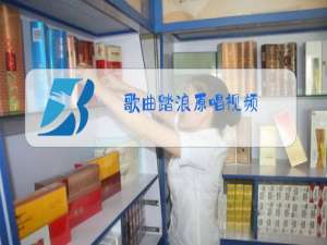 歌曲踏浪原唱视频