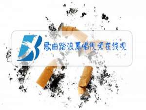 歌曲踏浪原唱视频在线观看