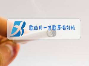 歌曲同一首歌原唱刘畅