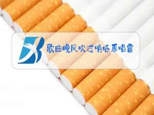 歌曲晚风吹过哨塔原唱雷佳视频