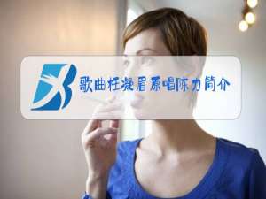 歌曲枉凝眉原唱陈力简介