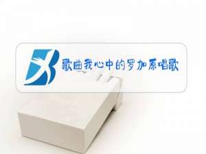 歌曲我心中的罗加原唱歌曲谱
