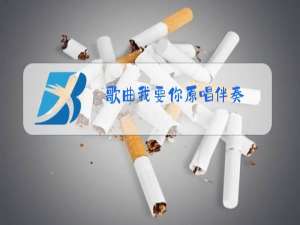 歌曲我要你原唱伴奏