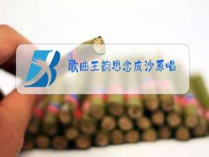 歌曲王韵思念成沙原唱