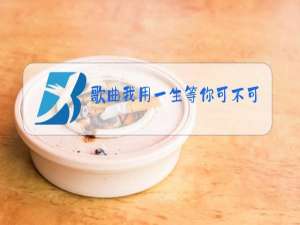 歌曲我用一生等你可不可以原唱