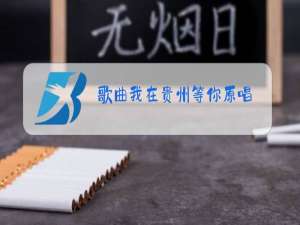 歌曲我在贵州等你原唱