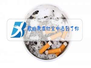 歌曲我在红尘中遇到了你原唱