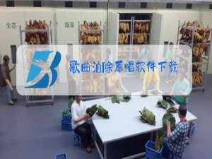 歌曲消除原唱软件下载