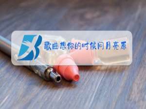 歌曲想你的时候问月亮原唱女声歌谱