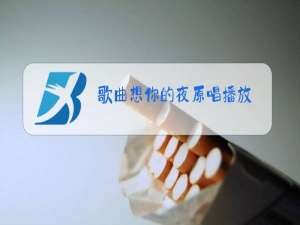 歌曲想你的夜原唱播放