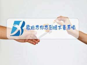 歌曲想你想到睡不着原唱