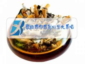 歌曲想你想到心里头原唱