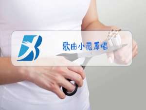 歌曲小薇原唱