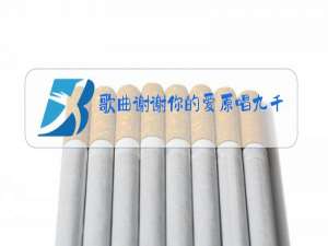 歌曲谢谢你的爱原唱九千九百九十九朵玫瑰