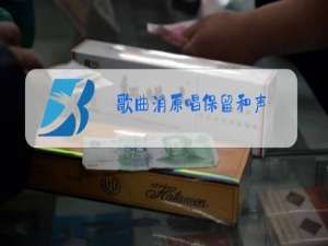 歌曲消原唱保留和声