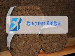 歌曲夕阳红原唱歌词