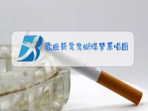 歌曲新鸳鸯蝴蝶梦原唱图片