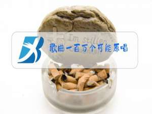 歌曲一百万个可能原唱