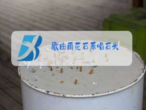 歌曲雨花石原唱石头