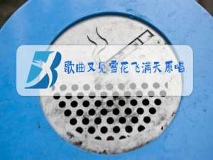 歌曲又见雪花飞满天原唱