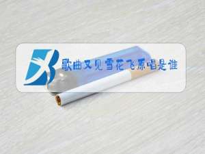 歌曲又见雪花飞原唱是谁