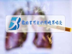 歌曲有可能的夜晚原唱是谁