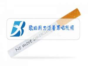 歌曲用力活着原唱视频