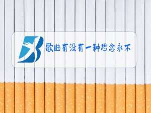 歌曲有没有一种思念永不疲惫原唱伴奏