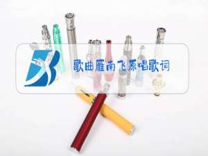 歌曲雁南飞原唱歌词