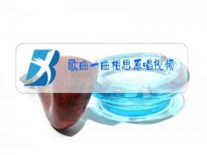 歌曲一曲相思原唱视频