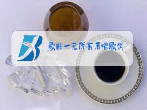歌曲一无所有原唱歌词