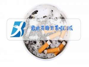 歌曲英雄泪原唱DJ版