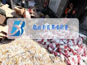 歌曲月夜原唱简普