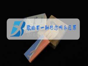 歌曲有一种思念叫永远原唱倪尔萍