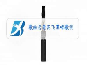 歌曲远走高飞原唱歌词