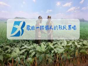 歌曲一阵恼人的秋风原唱