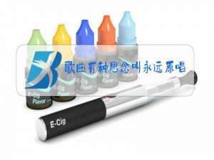 歌曲有种思念叫永远原唱