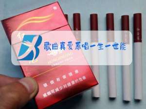 歌曲真爱原唱一生一世能爱几回