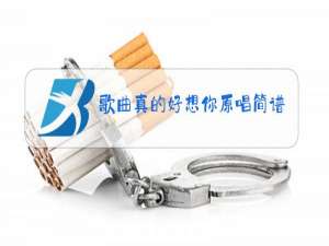歌曲真的好想你原唱简谱