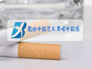 歌曲中国范儿原唱中国摇滚