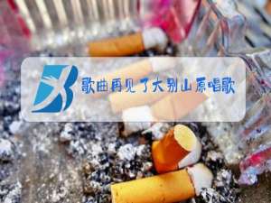 歌曲再见了大别山原唱歌词