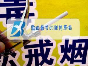 歌曲最美的期待原唱